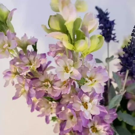 Greta Appartement Vrbnik (Primorje-Gorski Kotar)